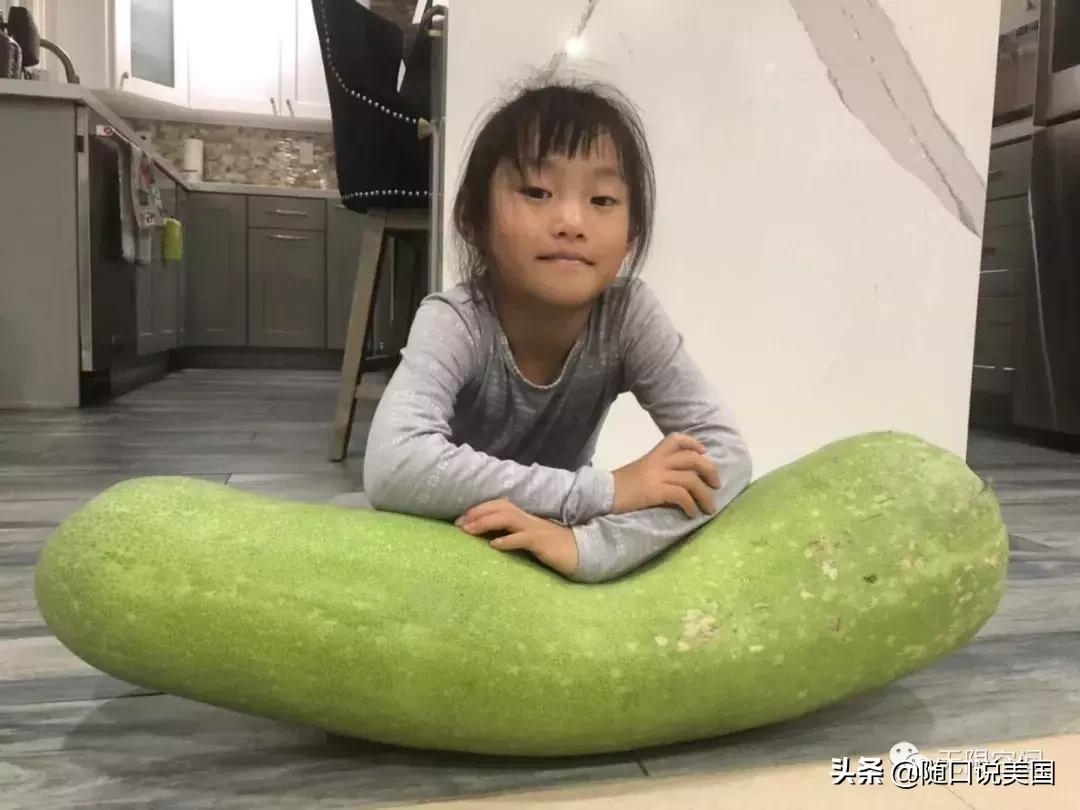 一起做个国际品牌（一）：帮我选择一个商标吧