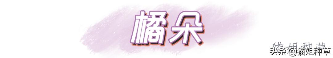 泫雅ysl金盖哑光唇釉色号,泫雅ysl银条试色