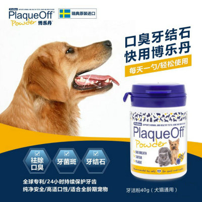 新手养猫去宠物店挑猫避雷,养猫需要哪些地方避雷