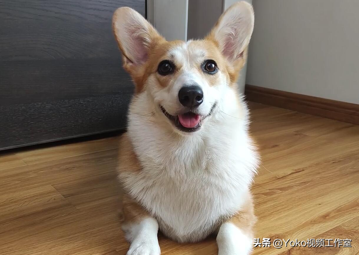 第一次买电脑应该在哪里买,在哪个平台买二手笔记本电脑靠谱