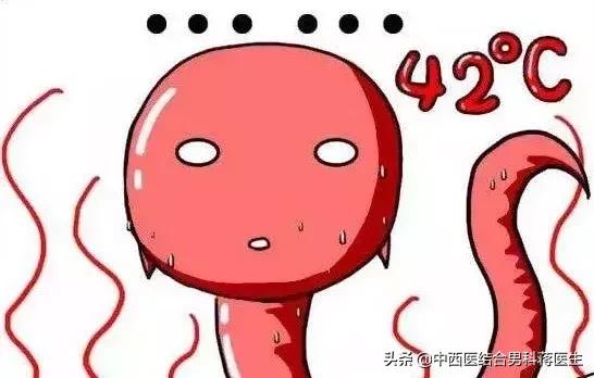 增加精子成活率的内裤,备孕期间男士内裤材质