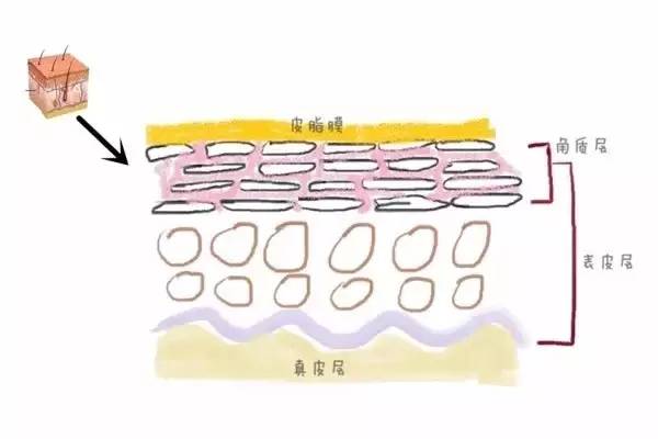 清水洗脸和补水区别,清水洗脸和香皂洗脸哪个好