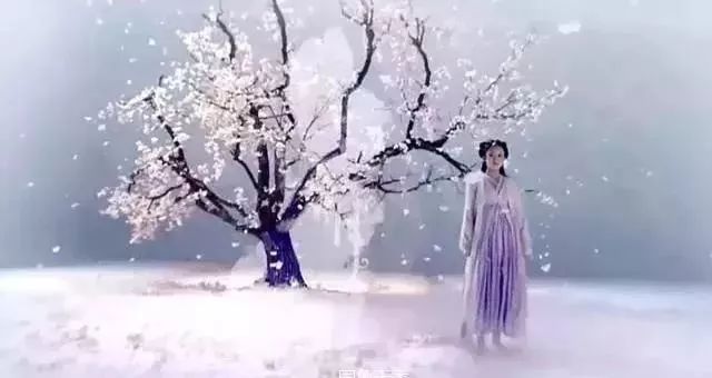 念悠悠歌曲,诗歌慢悠悠