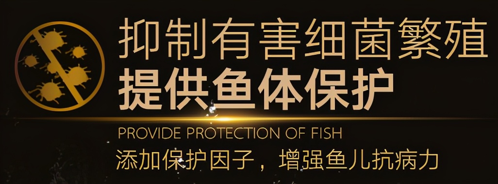 硝化细菌深入研究的九大误区,硝化细菌到底如何选择