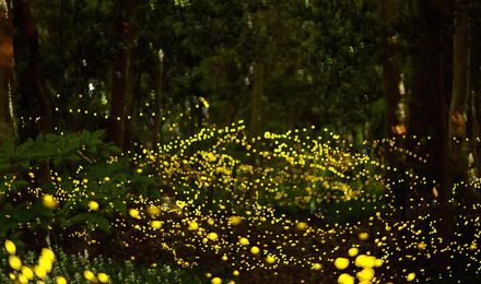 去马尔代夫玩哪个岛最值得推荐,去哪里旅游马尔代夫划算