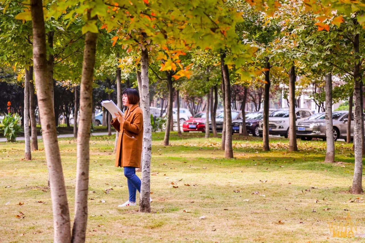 有一种低调，叫湖北大学！