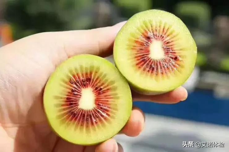 合肥大蜀山详细攻略,合肥大蜀山是什么时候去比较好看