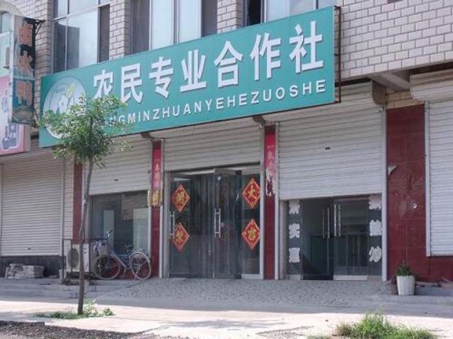 严查农村空壳社,空壳社清理政策