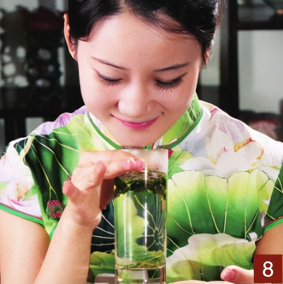 六安瓜片的茶艺,六安瓜片表演