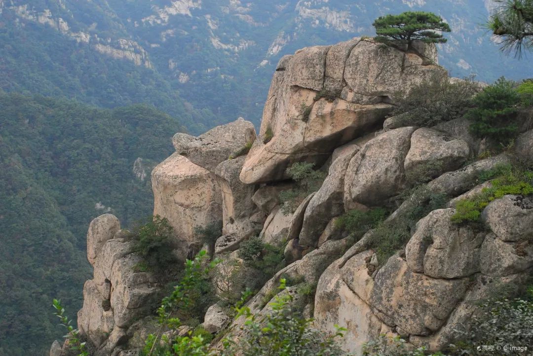 周末游玩优惠票,0元优惠票