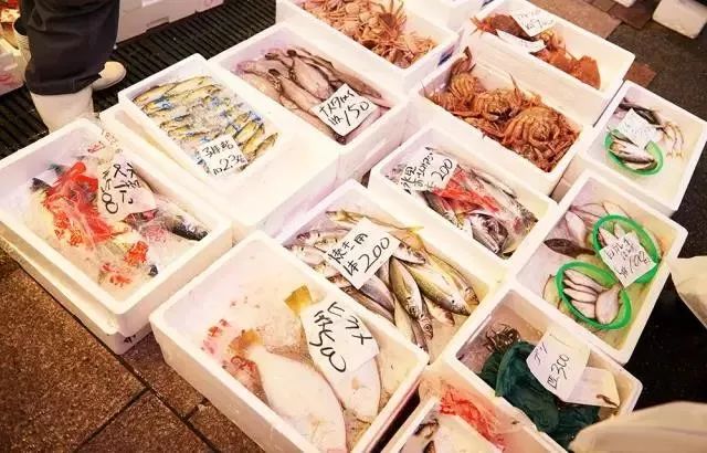 名古屋生活攻略,名古屋周边游线路攻略