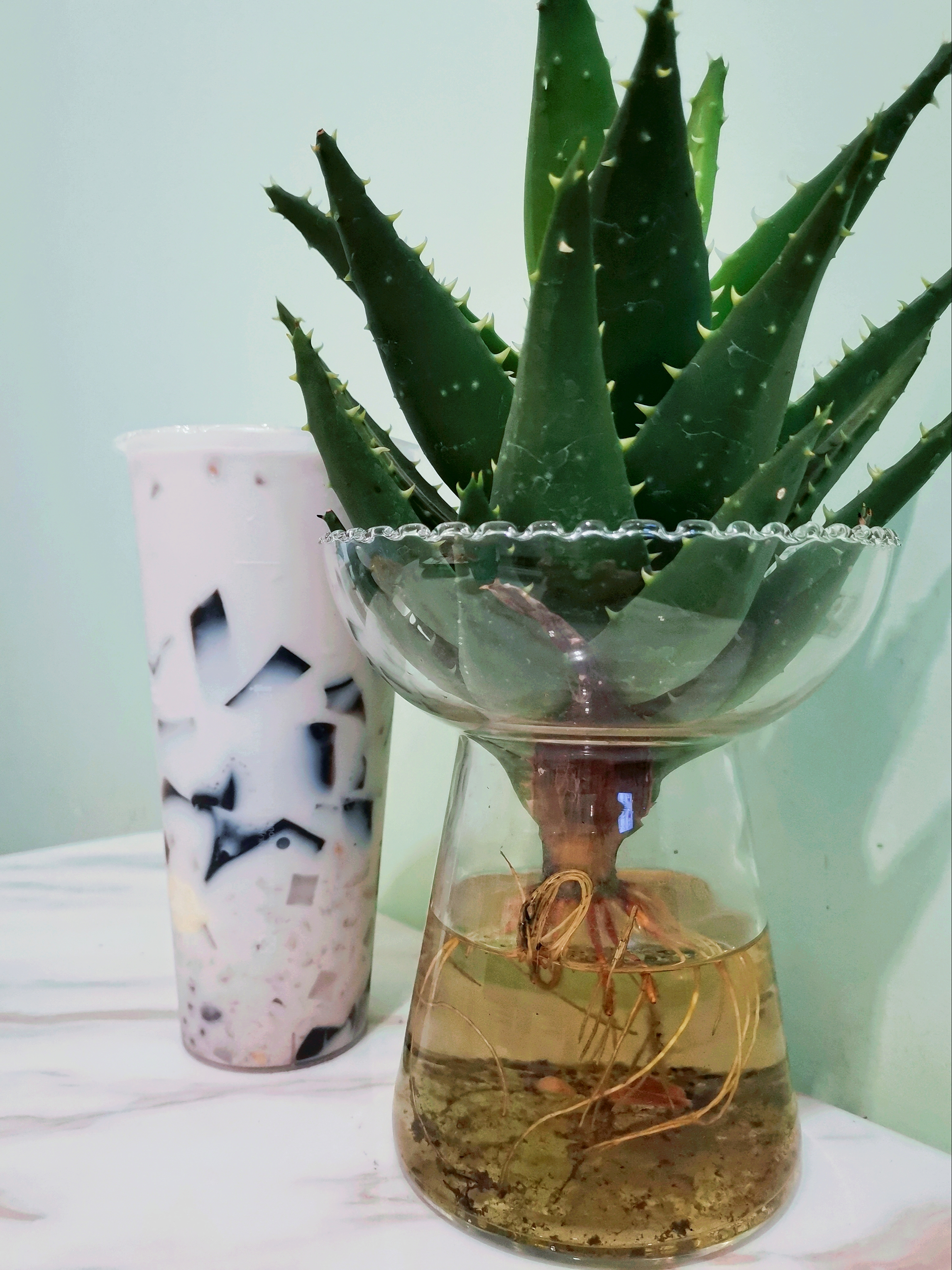 长沙奶茶店茶颜悦色打包,长沙最有名的奶茶店叫啥