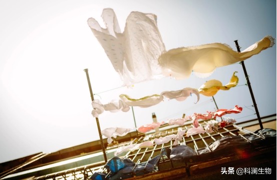 洗衣产品种类及选择,洗衣用的洗涤剂如何挑选