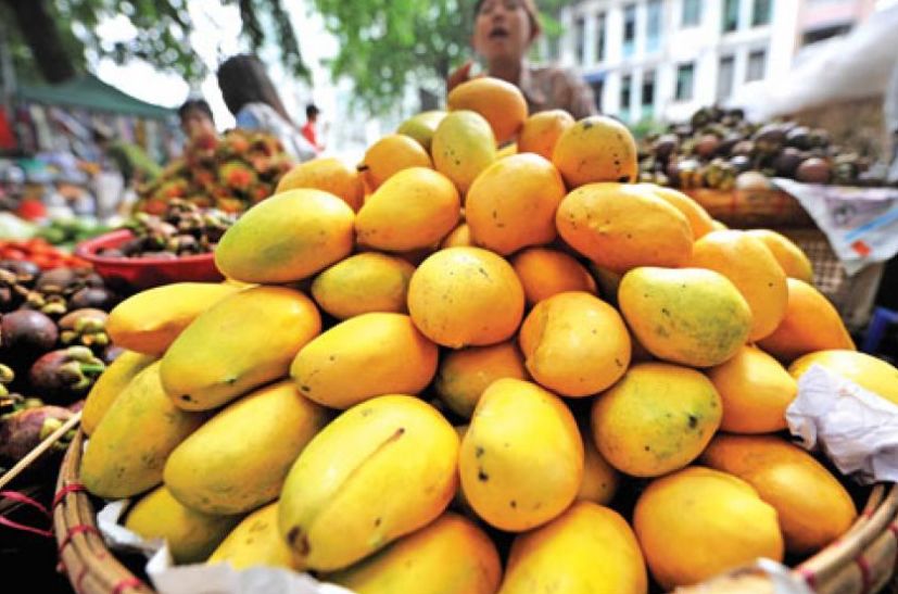 缅甸木姐口岸出口消息,缅甸进口水果口岸在哪里