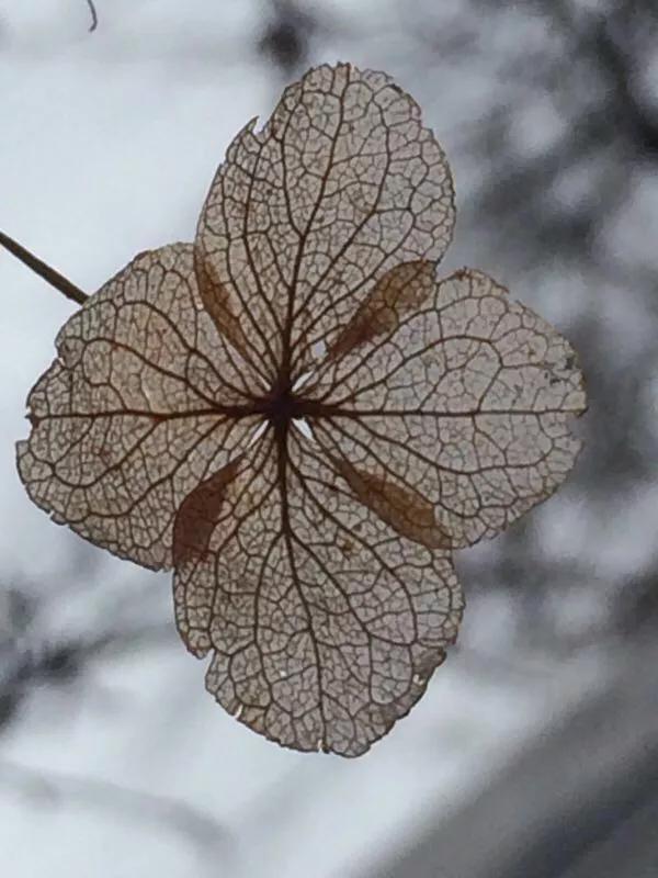 2022年世界手机摄影大赛征稿,手拍世界摄影网