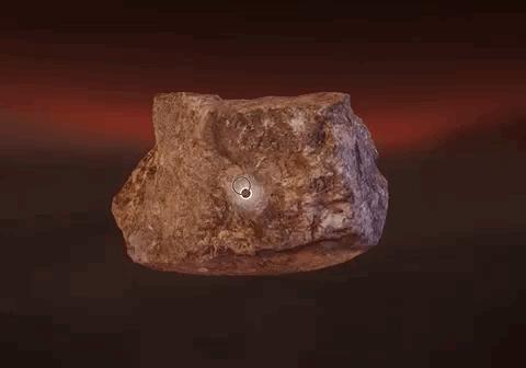 最敢挑战人性的行为艺术家，在网上教你思考一颗石头