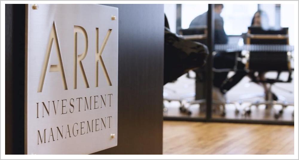 木头姐创业经历,58岁创业成功