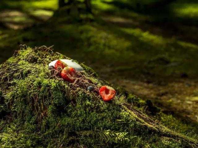 美食摄影真的没有这么难,美食摄影一拍就上手