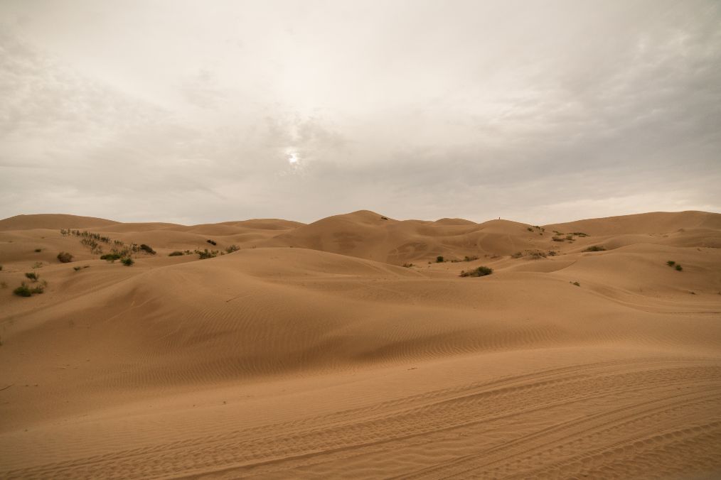 她是滔滔千里黄河的宠儿,阴山之下、河套之上的掌上明珠