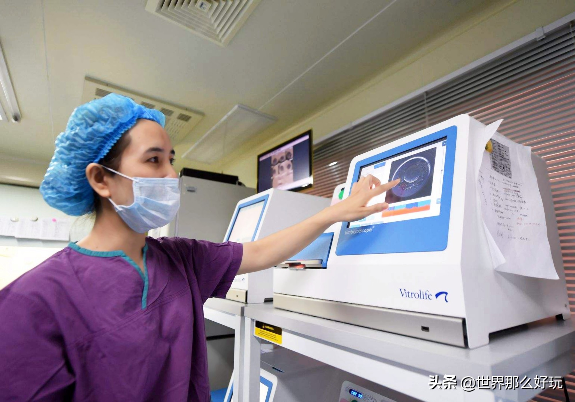 “母乳”放大1000倍，堪称世间最纯净液体