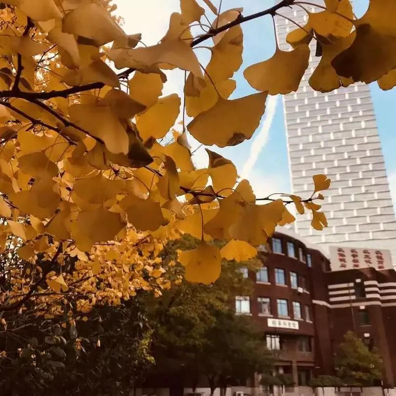 天津市耀华中学冯耀忠,天津市耀华中学招聘