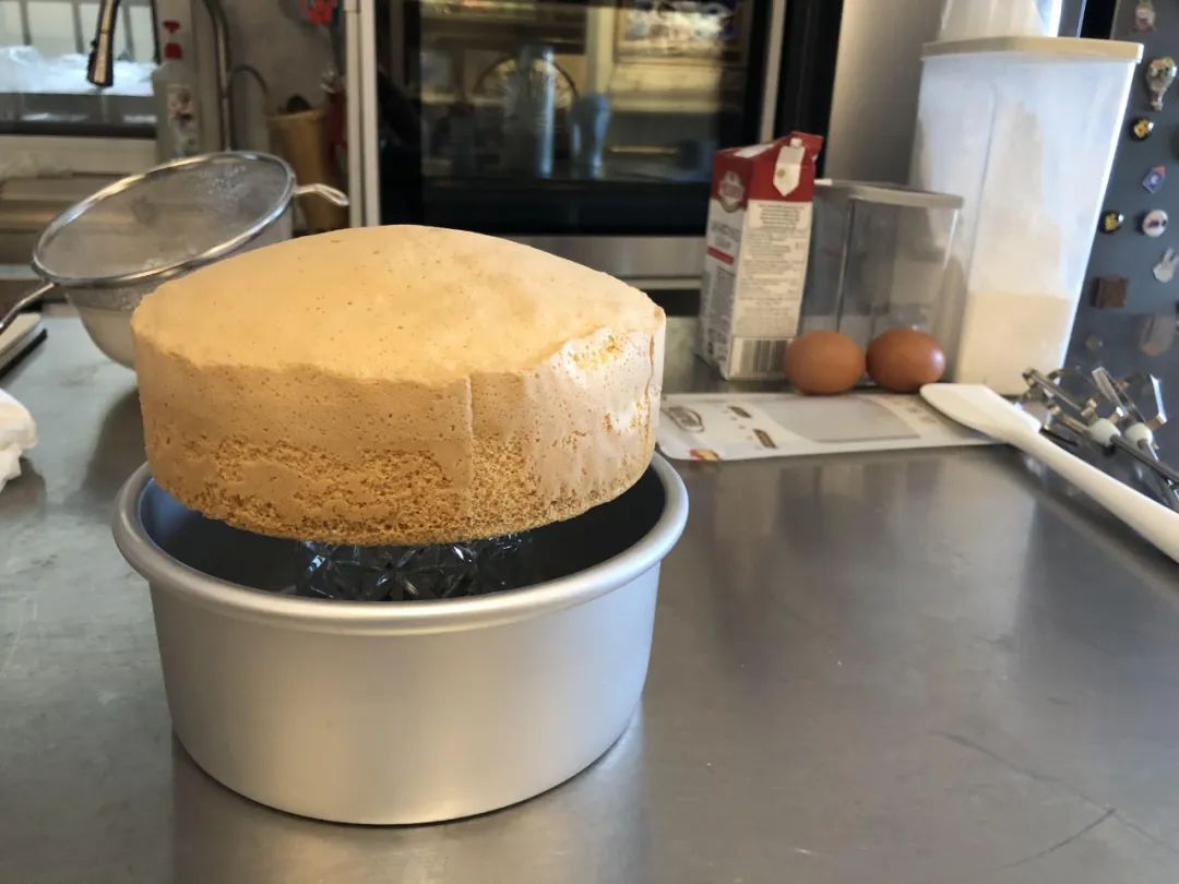 真正好用的蒸汽烤箱,最新款蒸汽烤箱