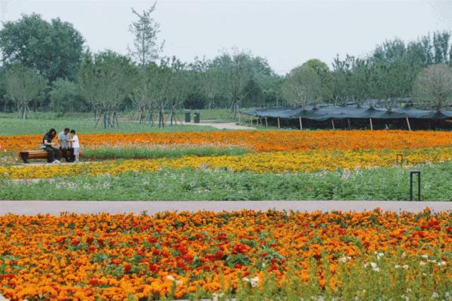 西安公园24小时开放,西安未央湖公园免费开放时间