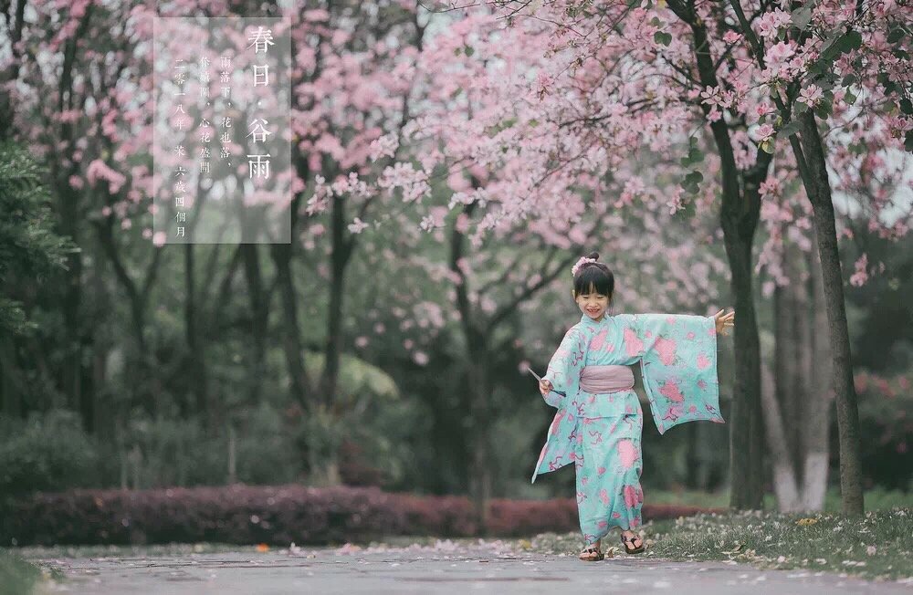 鑼勫瓙鎴峰涓撹,鑼勫瓙璁胯皥涓斧