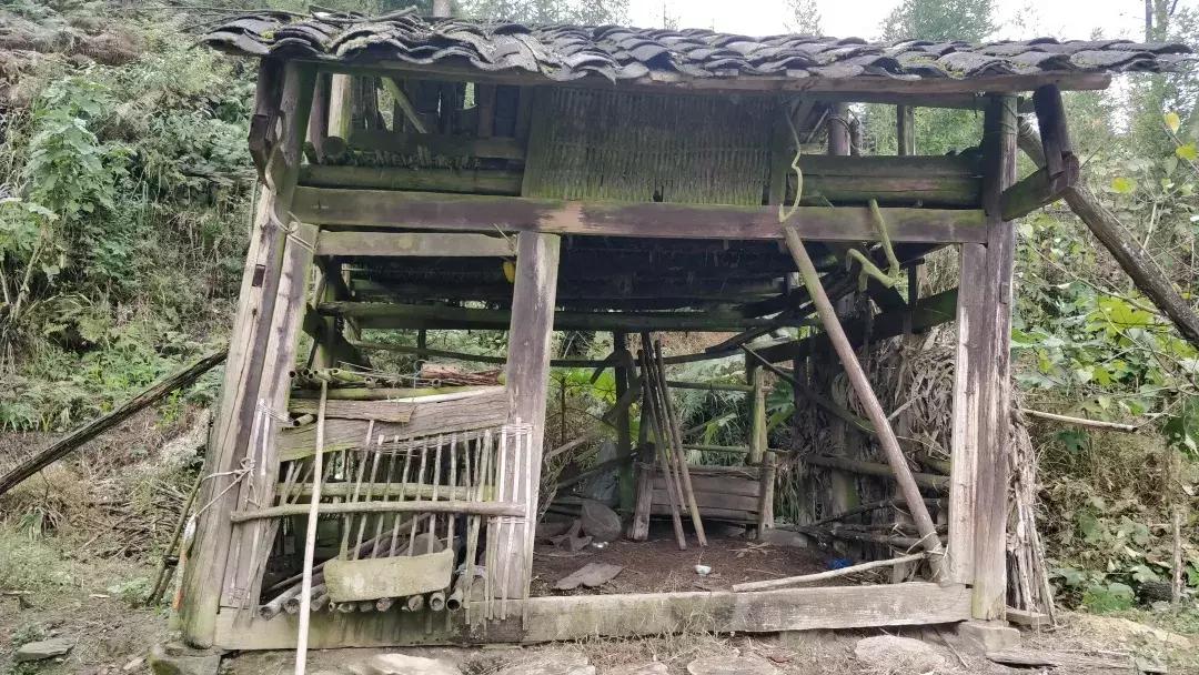 跨越2100多公里，我们为大山深处的孩子们上了一堂“云上美术课”