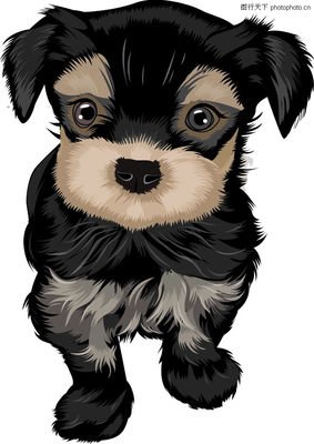 夏天作文200字二年级,我喜欢的玩具二年级作文