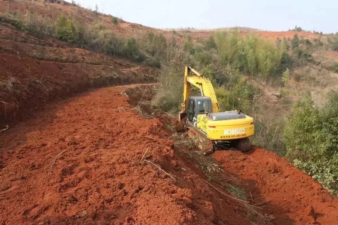 守着20000亩橙子园，他说：一年好景君需记，最是橙黄橘绿时