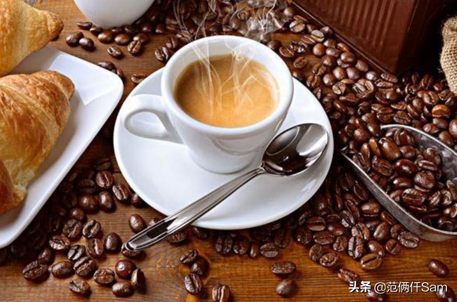 新手意式半自动咖啡机,入门意式咖啡机半自动