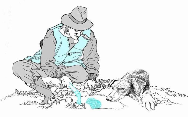 白松黑露，在丽江「上演旷世传奇」