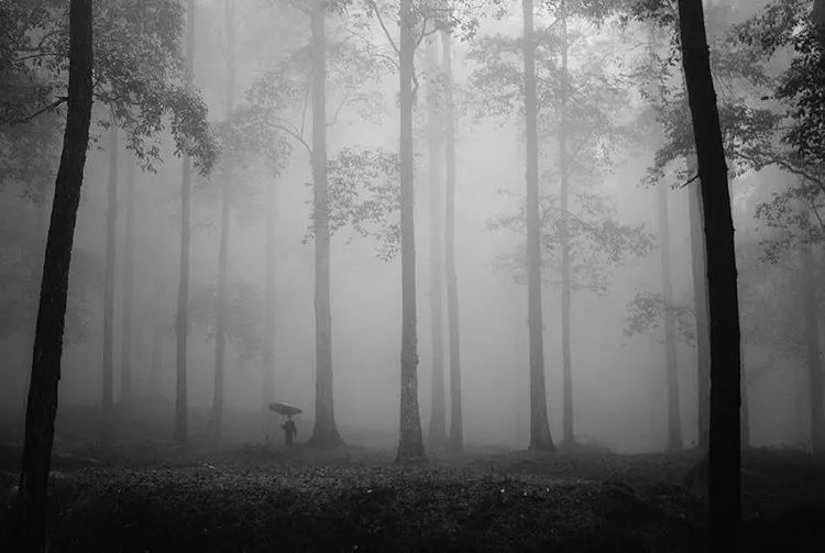 百年孤独这本书讲的什么100字,百年孤独必读的三本书