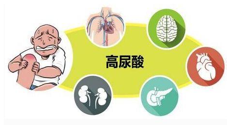 警惕高尿酸的案例,尿酸高痛风急性发作怎么处理