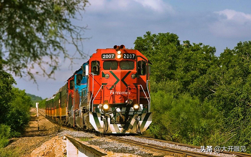 爱吃仙人球的国家,最喜欢吃仙人掌的国家是墨西哥