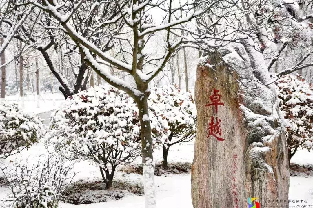 闈掑矝娓咕鑱岄櫌鏂扮敓,闈掑矝娓咕鑱屼笟瀛﹂櫌鍒樻皯