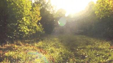 成熟的人不发朋友圈,成熟的人一般都不发朋友圈