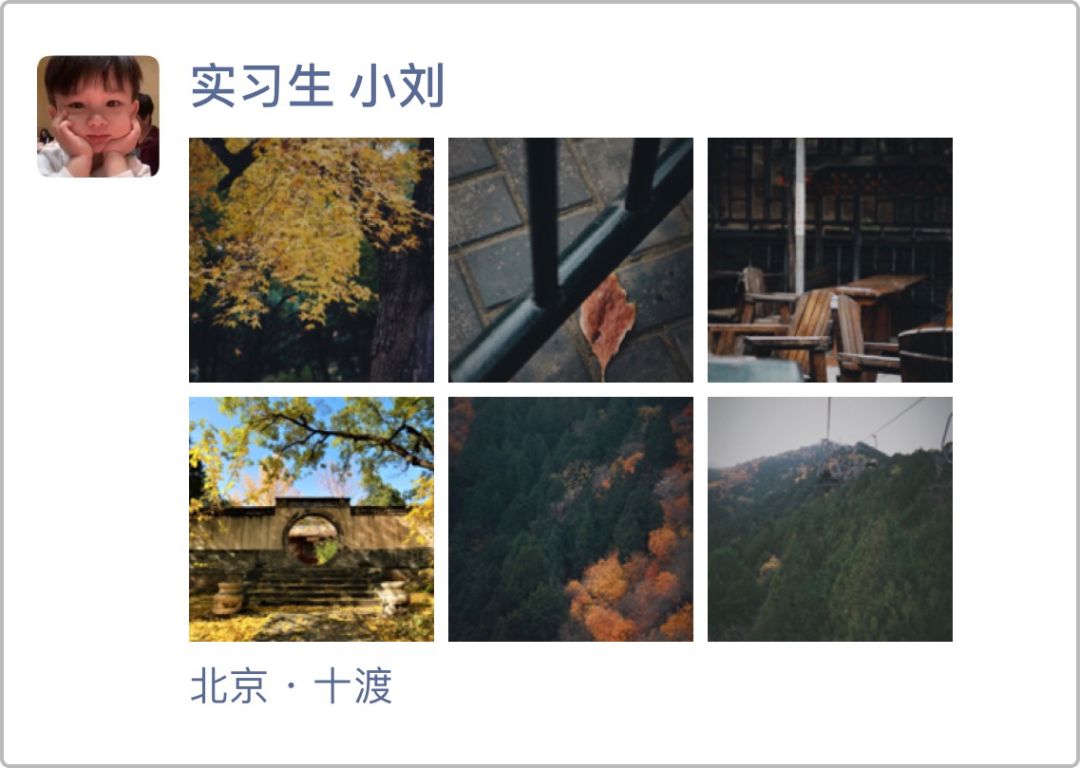 旅行鄙视链,旅游同伴鄙视链