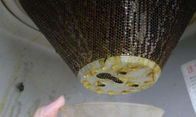 抽油烟机油渍家庭小妙招,油烟机抽气孔被油腻堵住了怎么办