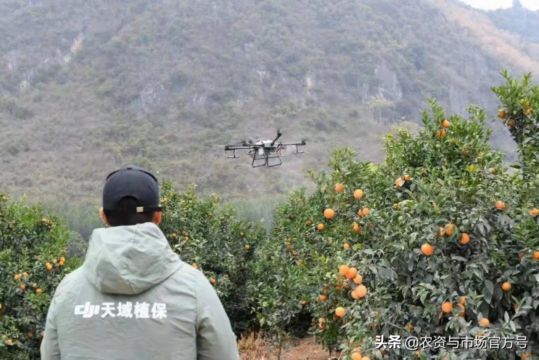 果树发展趋势和前景,我国果树的发展现状及趋势