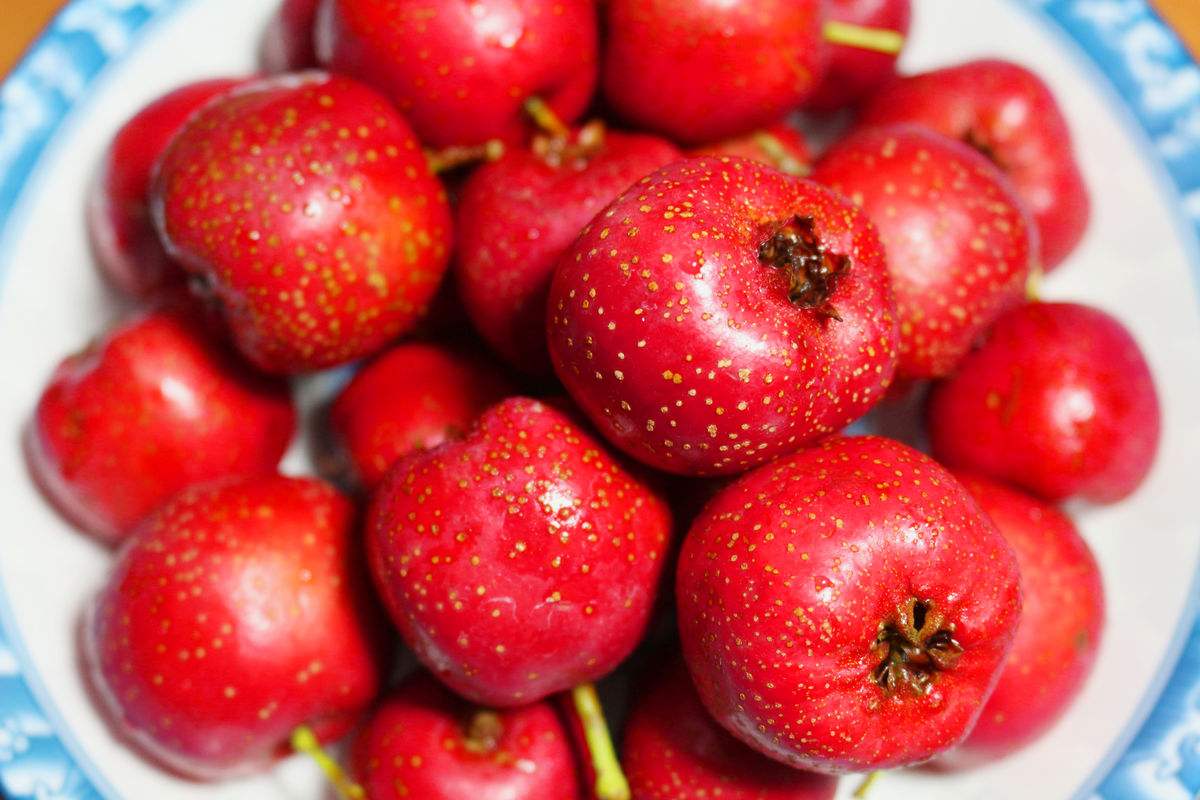 肚子有气放不出来吃什么药治疗,肚子胀气排不出来怎么办快速解决