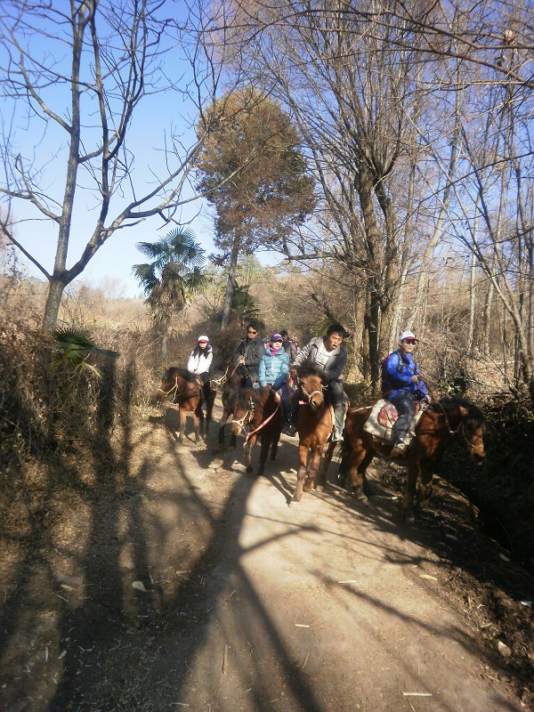 自驾游旅行需要花多少钱,云南自驾5天旅游攻略详细版