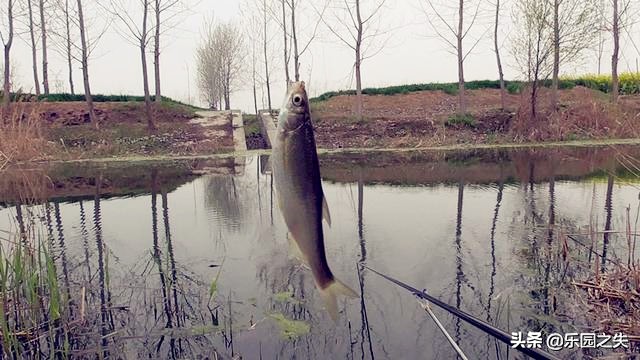 挂鱼饵钩尖的位置,挂鱼的钩子挂底了怎么办