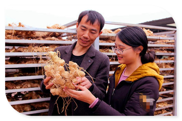 返乡创业有哪些好的项目可以考虑,适合农村人的创业小项目推荐