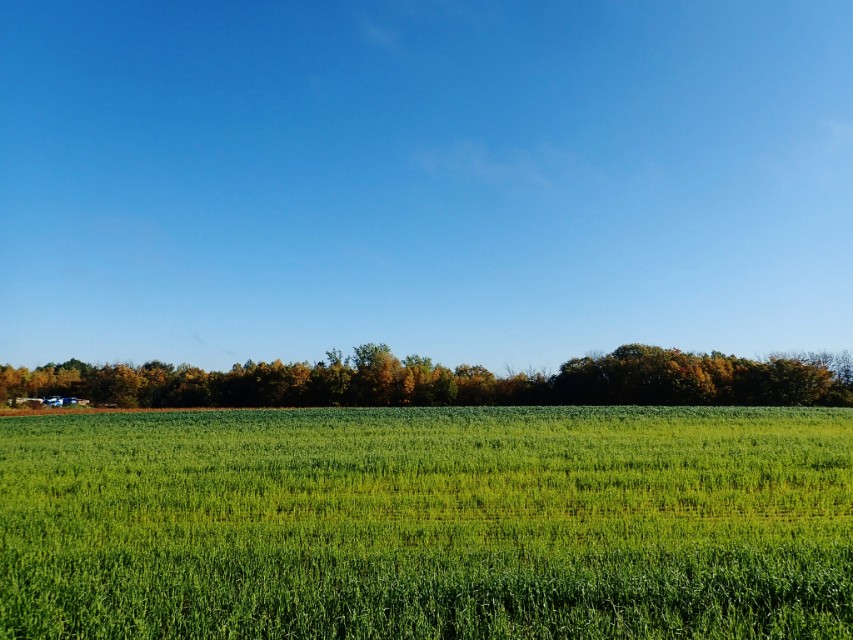 日本从南到北旅游路线,从南游到北