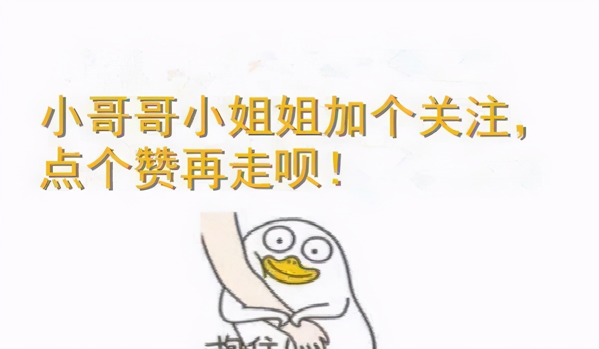 10种最便宜的猫,夏尔特猫市场价