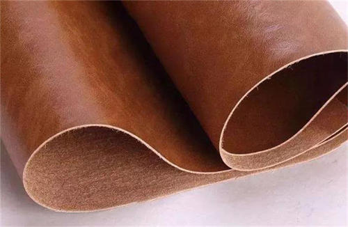 泰迪犬的脾气有多强,泰迪犬从小到大最怕的八件事