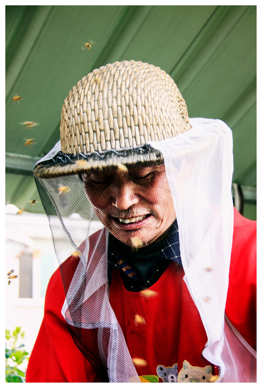 江苏海安曲塘古镇,海安市曲塘