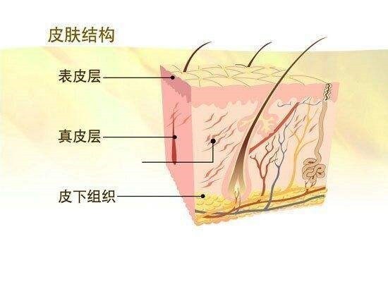 健身后肌肉上有红色纹路,健身后有条纹怎么回事